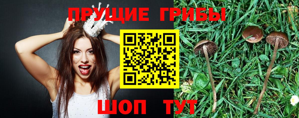Галлюциногенные грибы ЛСД  Вход с VPN  Псилоцибиновые грибы прущие грибы  Вологда 