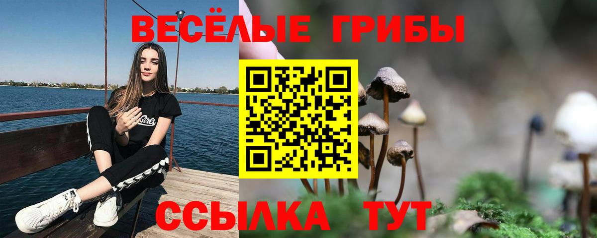 Галлюциногенные грибы мухоморы Вологда