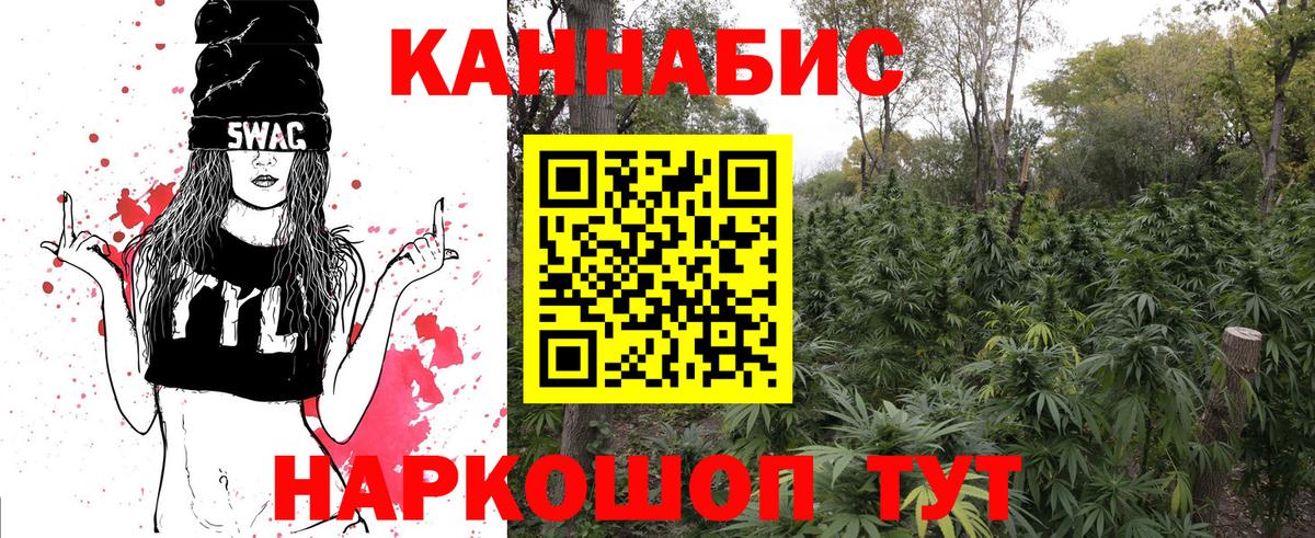 Конопля семена Вологда